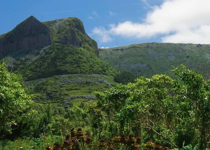 別荘 Casa Via D'agua In Faja Grande